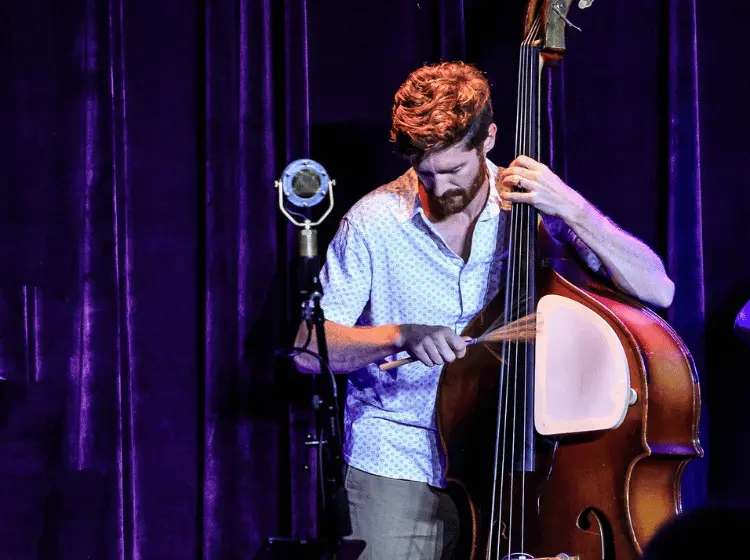 Mike Harmon performing with Grain Thief