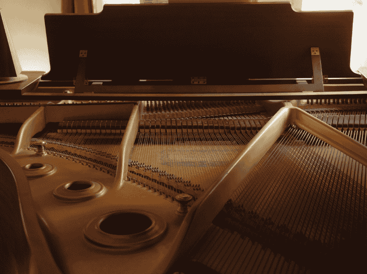 Mike Harmon Studio